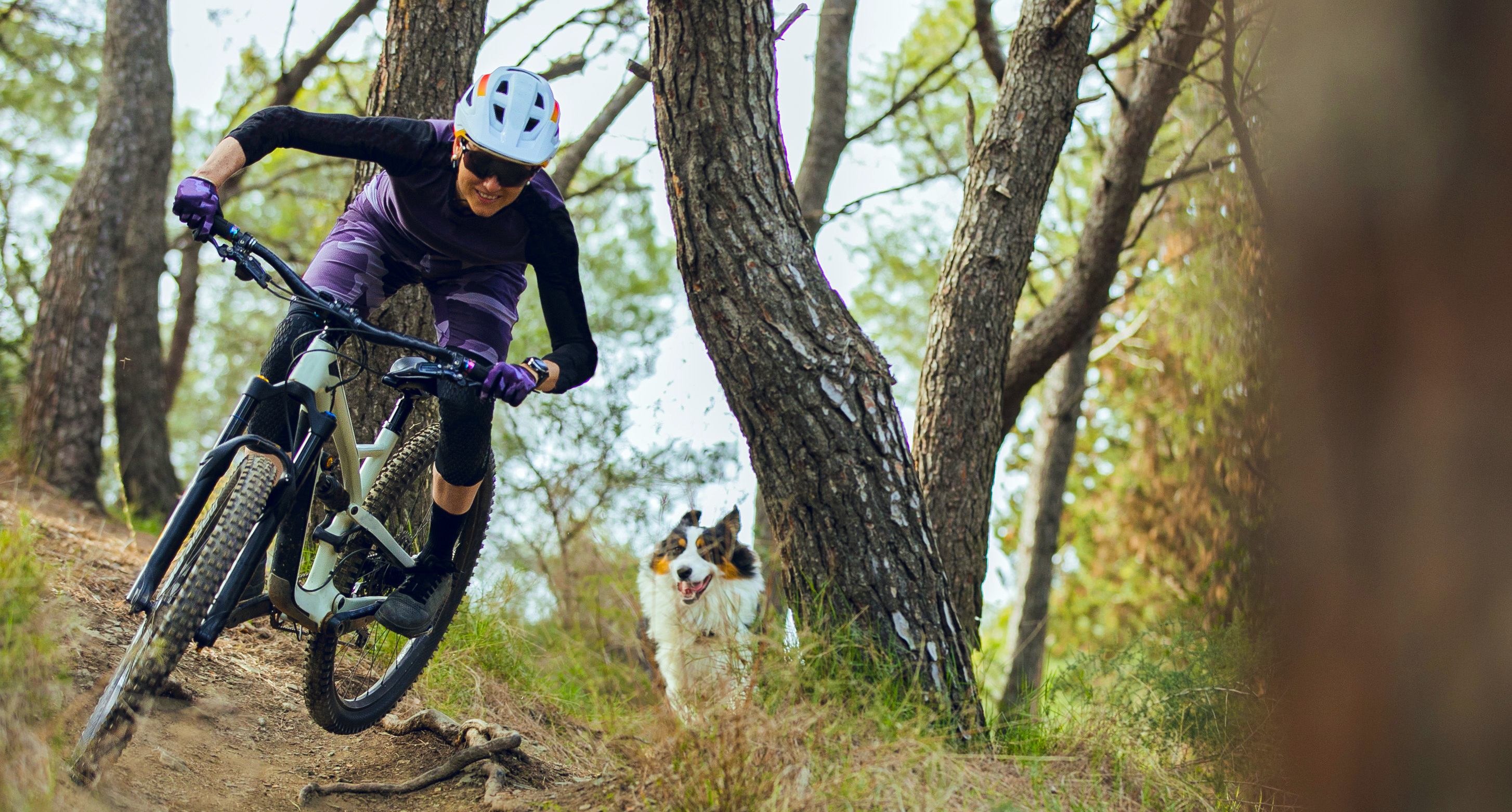 Mountain biker on trail
